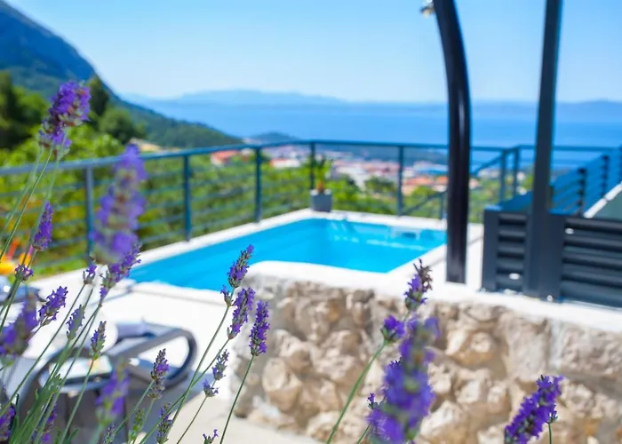 Marina - With Sea View