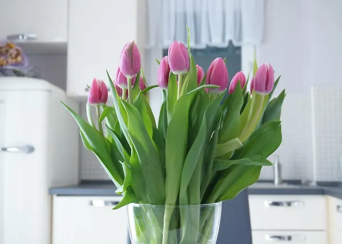 Marina - With Sea View Макарська