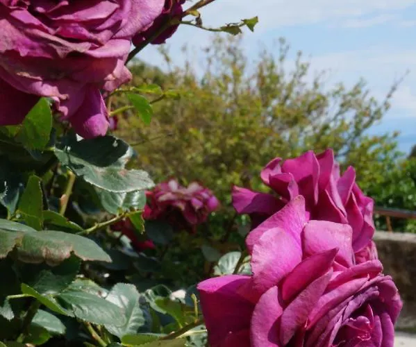 Marina - With Sea View *