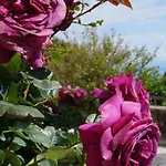 Marina - With Sea View *