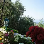 Marina - With Sea View