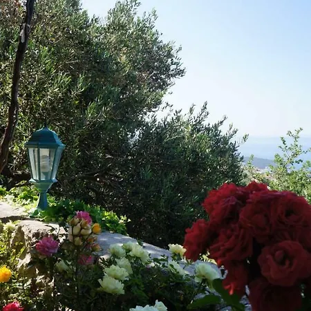 Marina - With Sea View