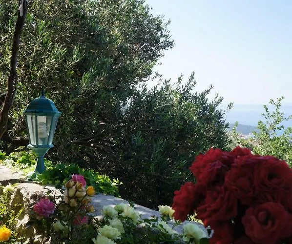 Marina - With Sea View